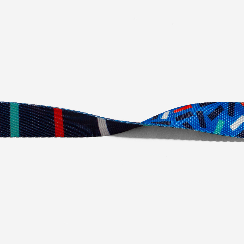 Atlanta Cat Collar