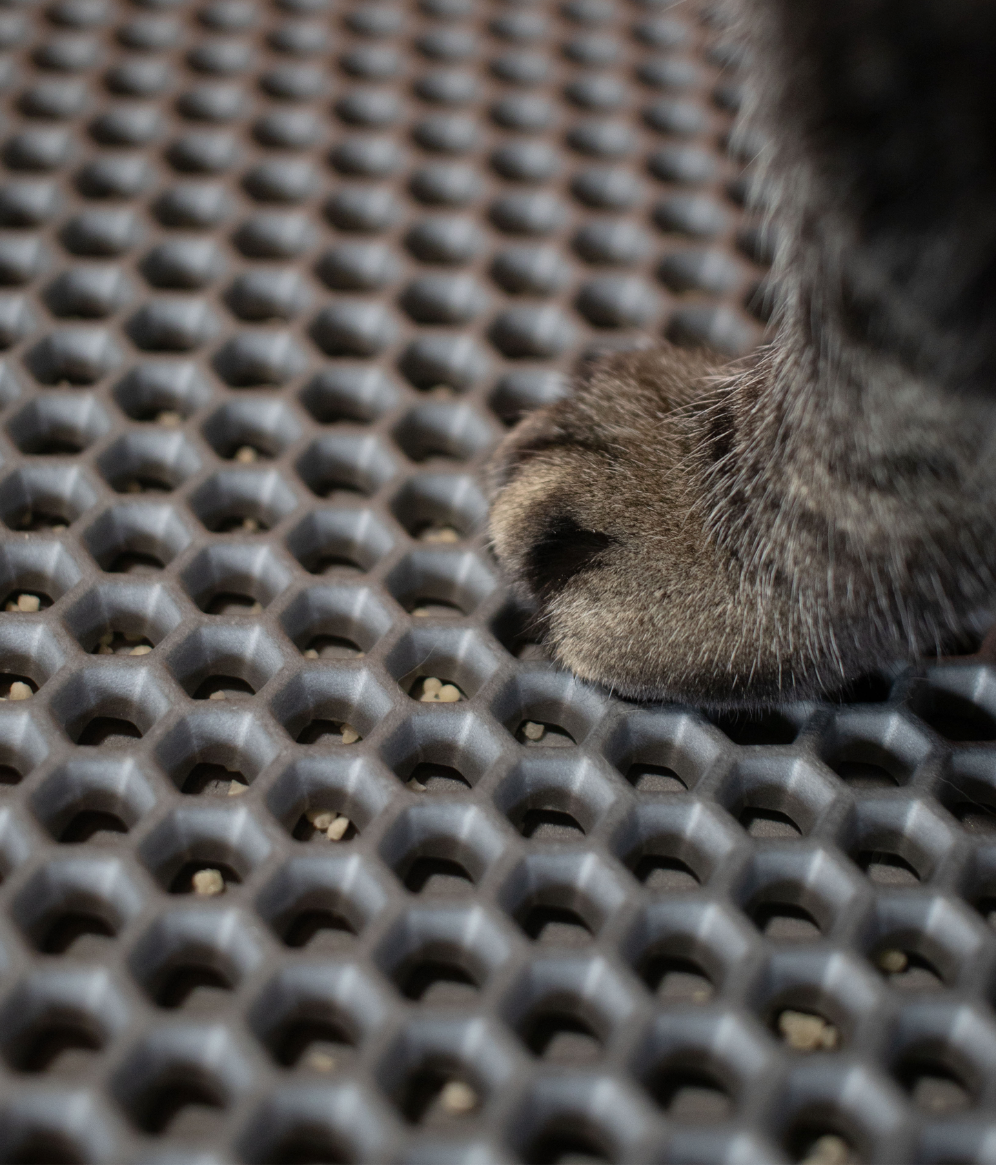 Litter Collection Mat CDSG