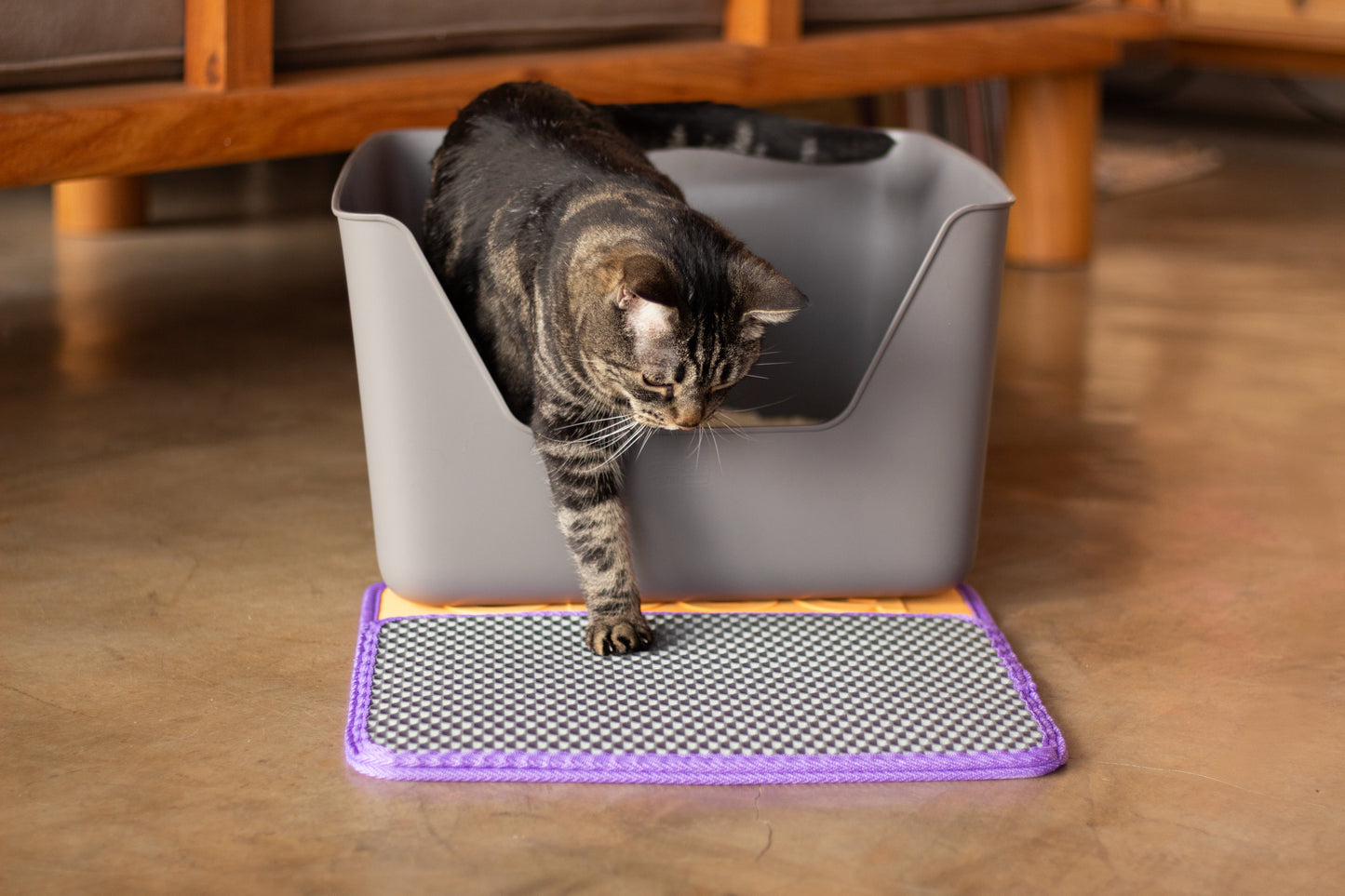 Litter Collection Mat CDSG