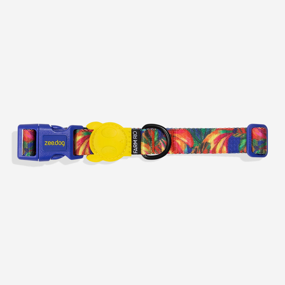 Collar Farm Rio Samba