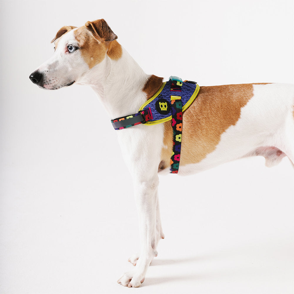 Farm Rio Samba FlyHarness with Handle