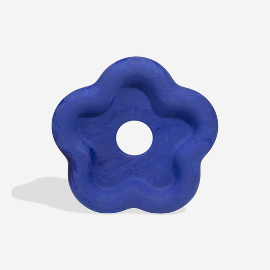 Blue Samba Frisbee