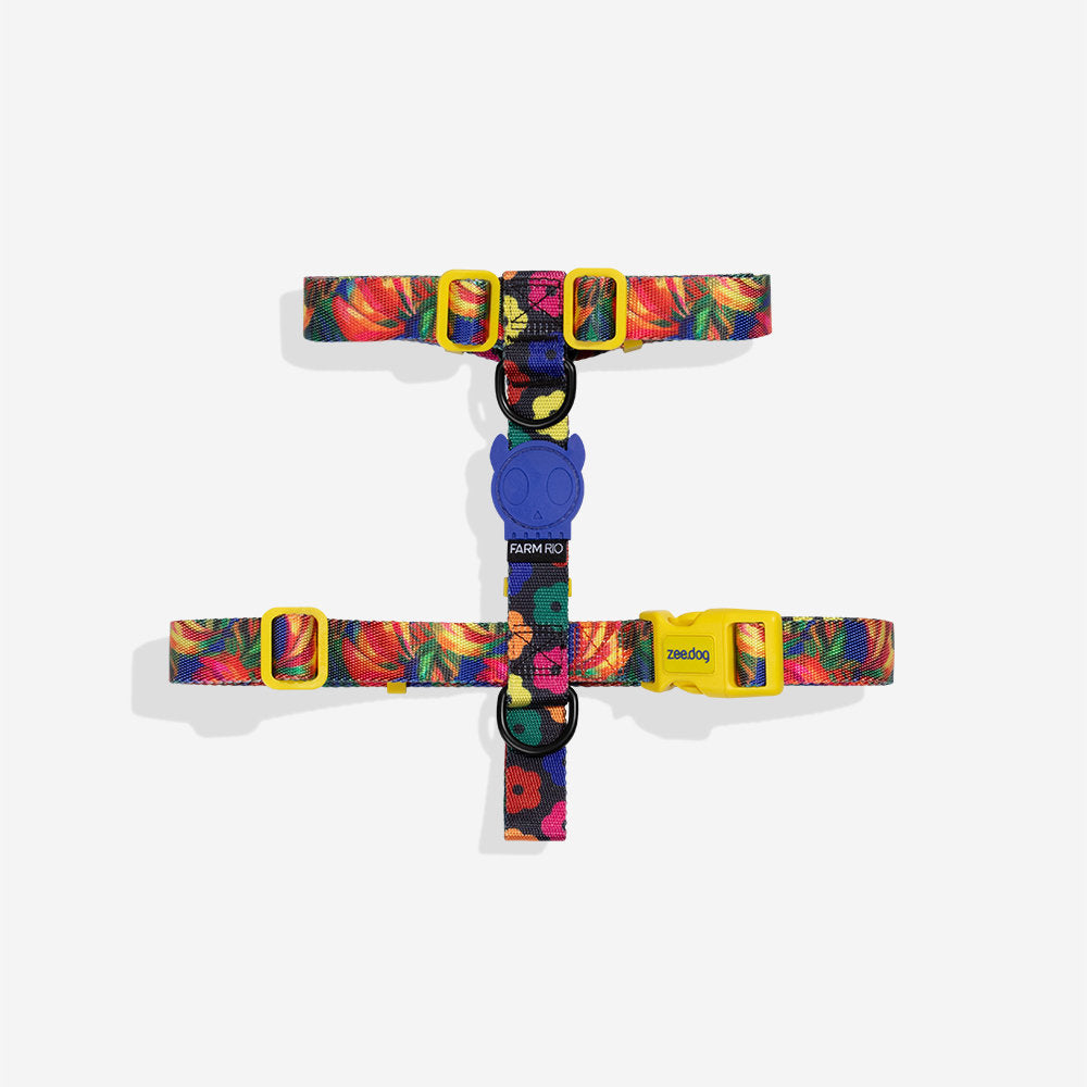 Farm Rio Samba H-Harness
