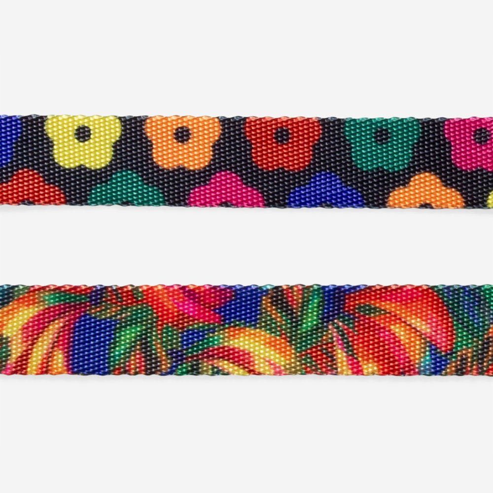 Farm Rio Samba Zee.Pinz Cat Harness and Leash Set