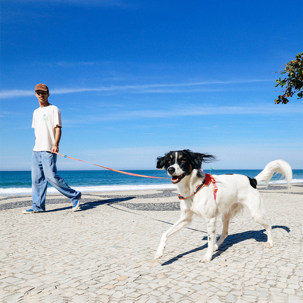 Farm Rio Bossa Banana Long Leash