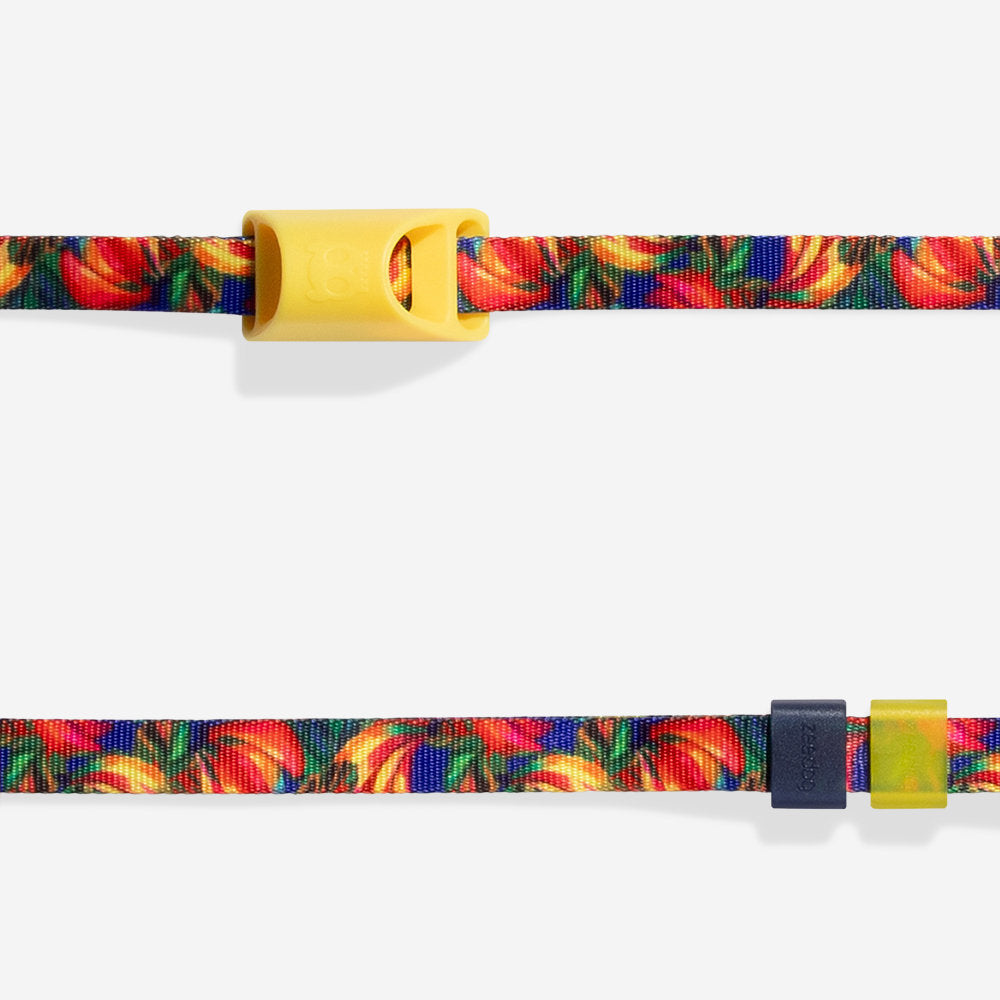 Long leash Farm Rio Samba extendable leash