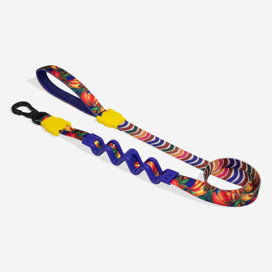 Farm Rio Samba Shock Absorbing  Ruff Leash 2.0