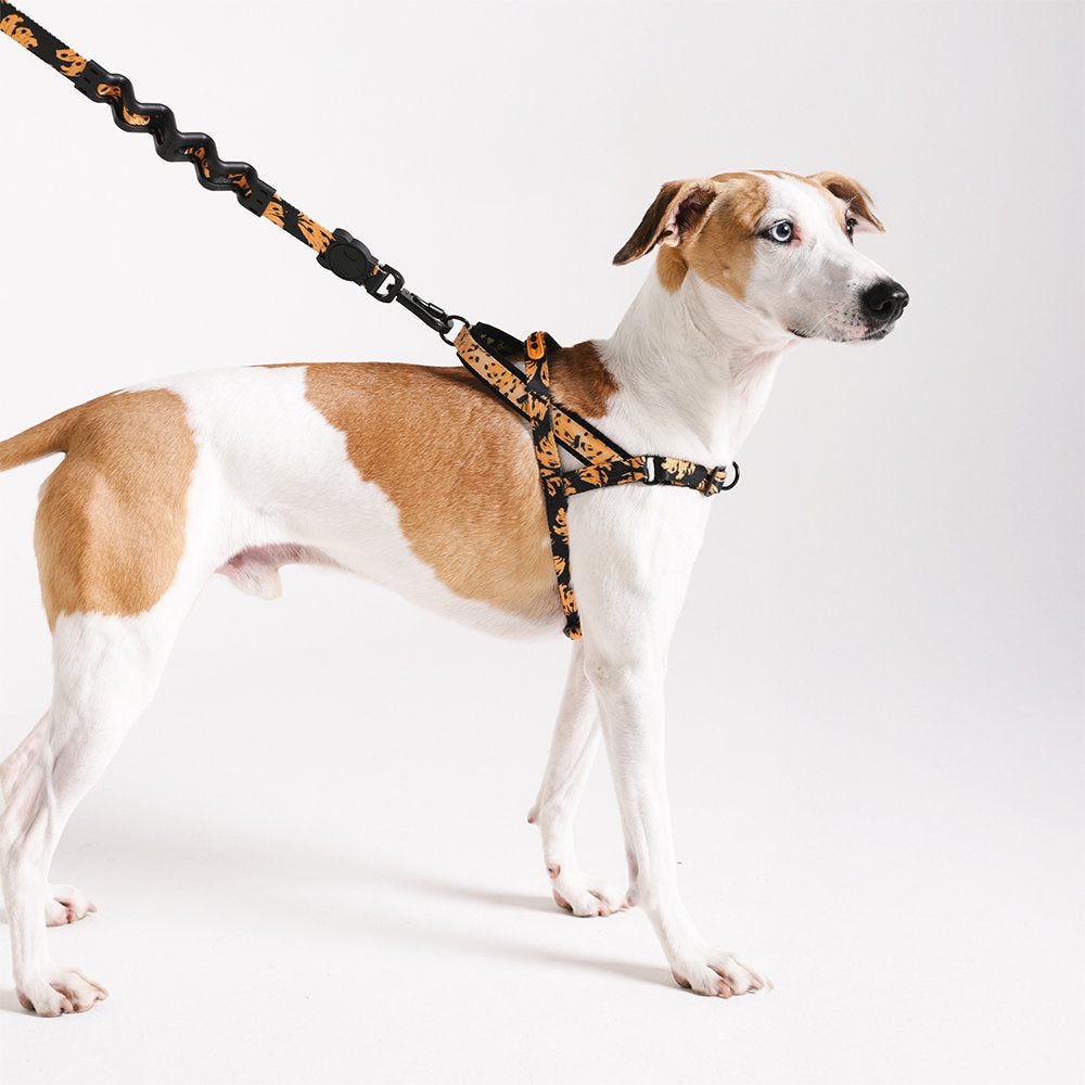Farm Rio Bossa Banana Norwegian Softer-walk Harness
