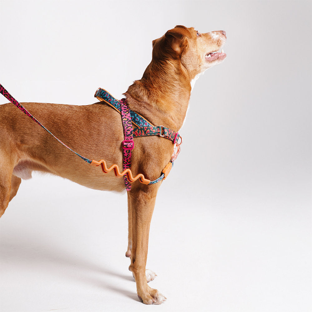 Farm Rio Selva Norwegian Softer-walk Harness