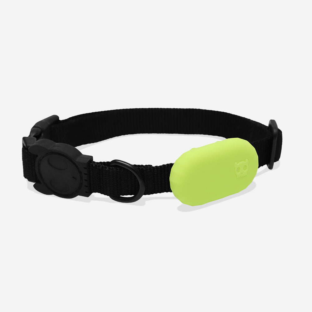 Galaxy Label Holder Lime