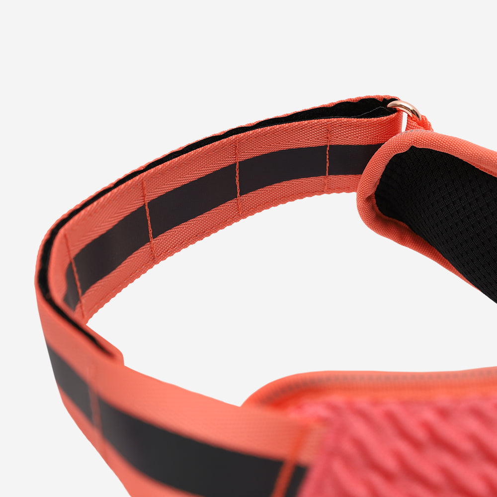 Harness with handle - Flyharness Gazelle