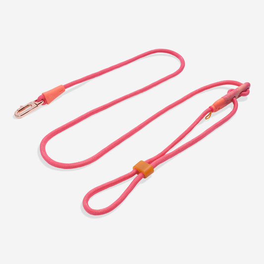 Gazelle Hands Free Leash