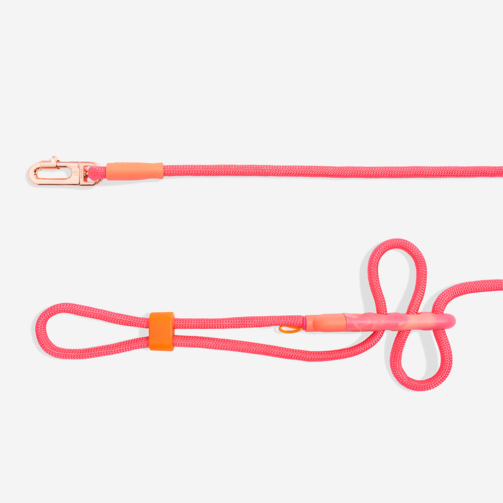 Gazelle Hands Free Leash