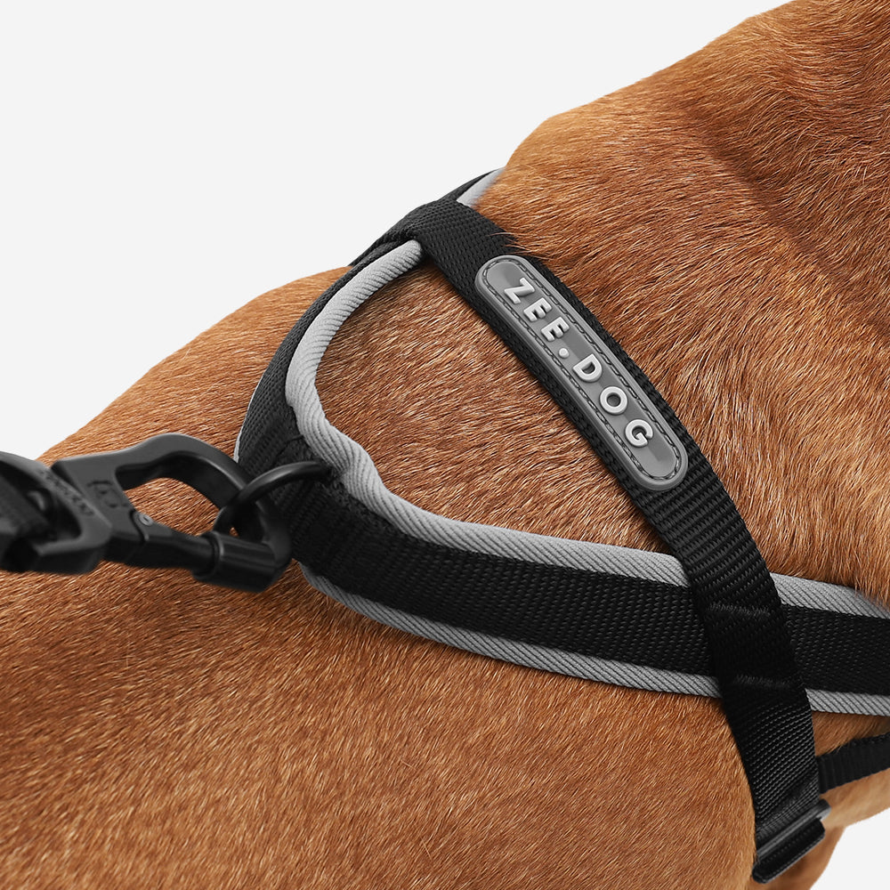 Norwegian Softer-walk Harness Gotham