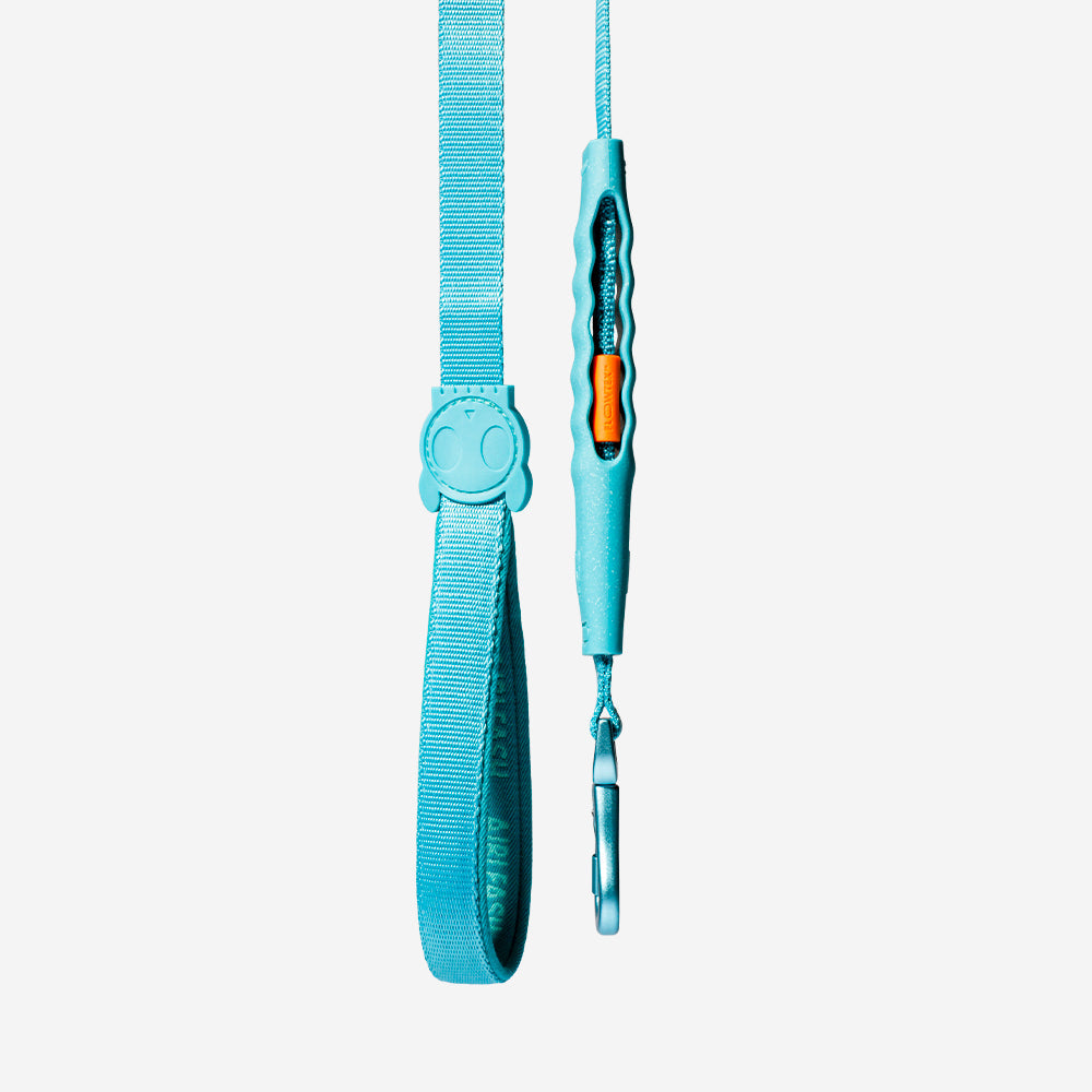 Air-leash Blue Shock Absorbing Leash