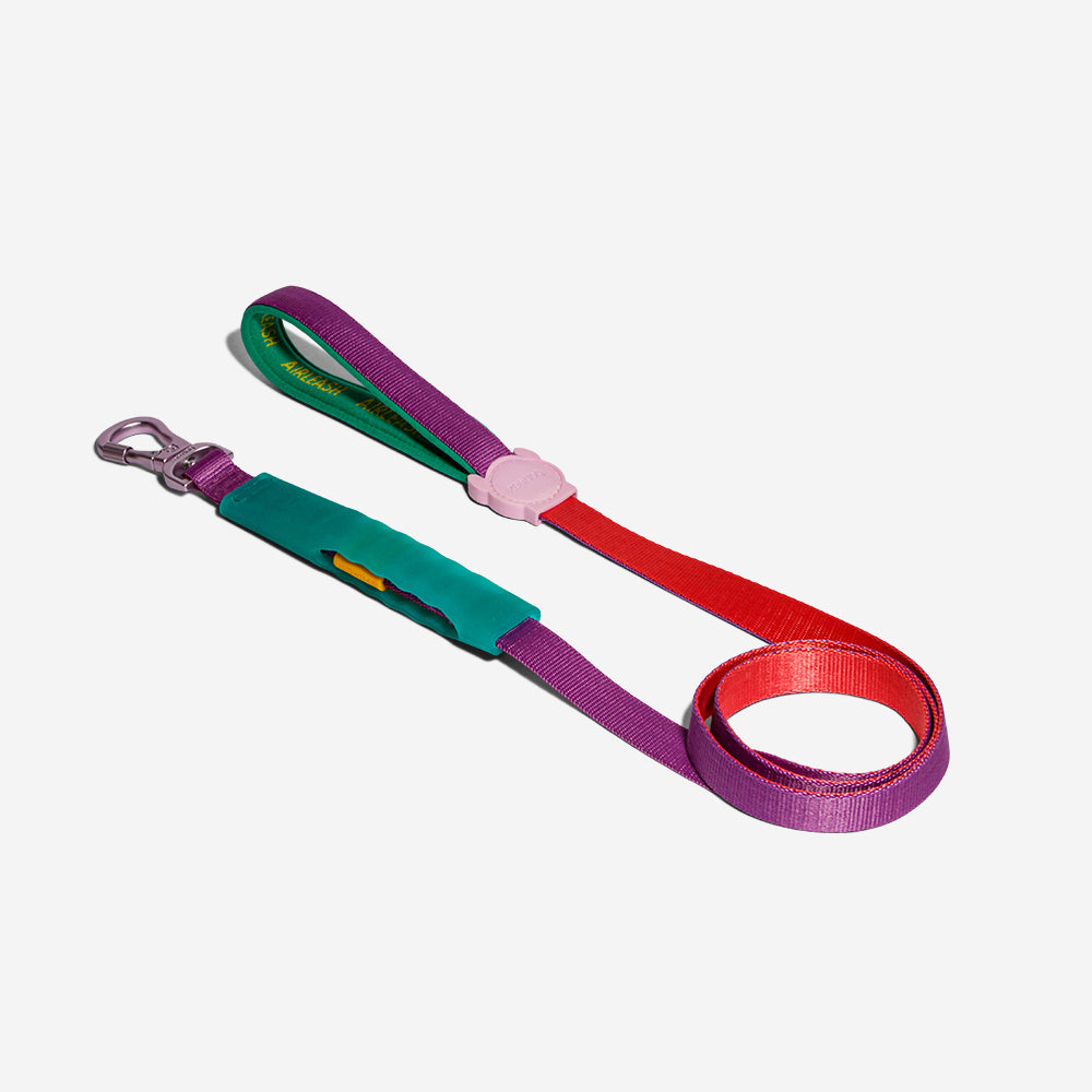 Cali Dos Air-leash shock absorbing leash