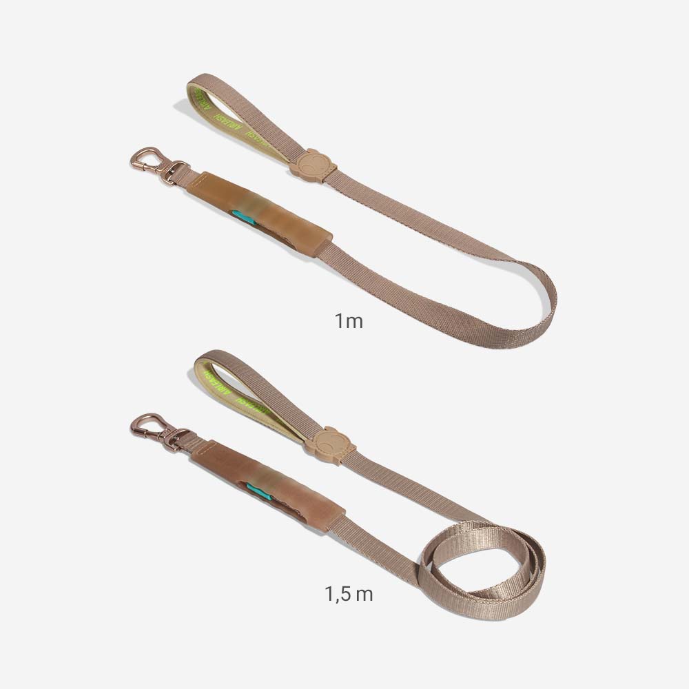 Kim Air-leash Shock Absorbing Leash