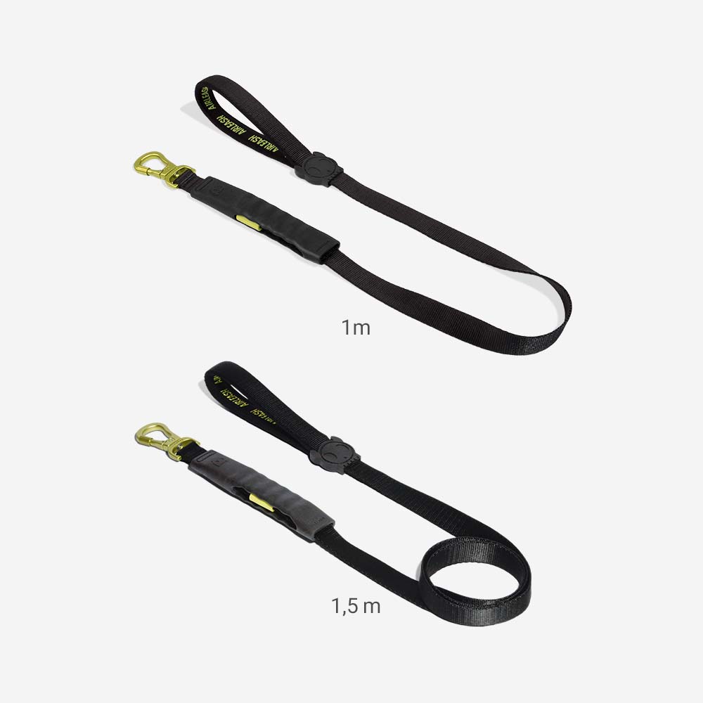 Air-leash Neon Shock Absorbing Leash