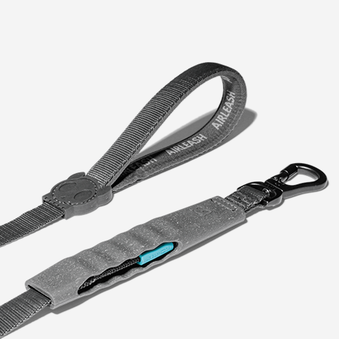 Air-leash Carbon Shock Absorbing Leash
