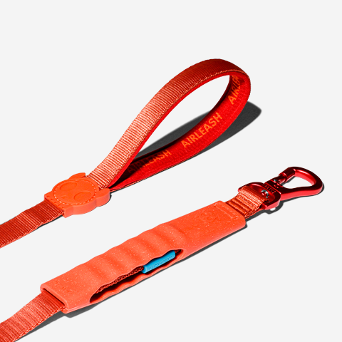 Air-leash Crimson Shock Absorbing Leash