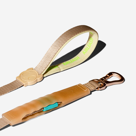Kim Air-leash Shock Absorbing Leash