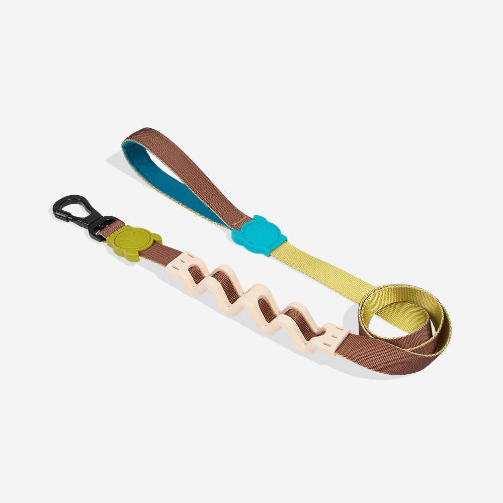 Avocado Shock Absorbing  Ruff Leash 2.0