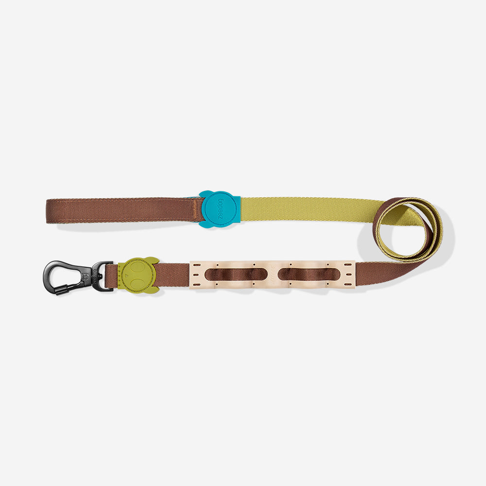 Avocado Shock Absorbing  Ruff Leash 2.0