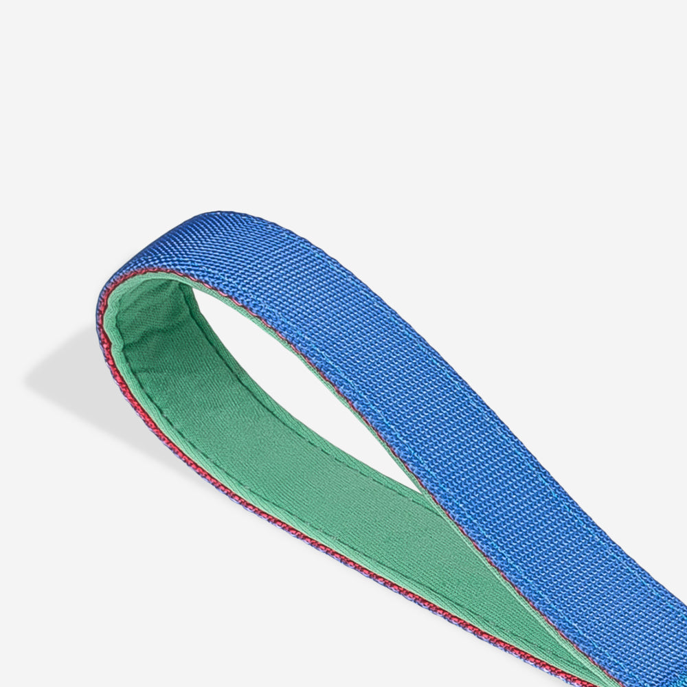 Mellow Shock Absorbing  Ruff Leash 2.0