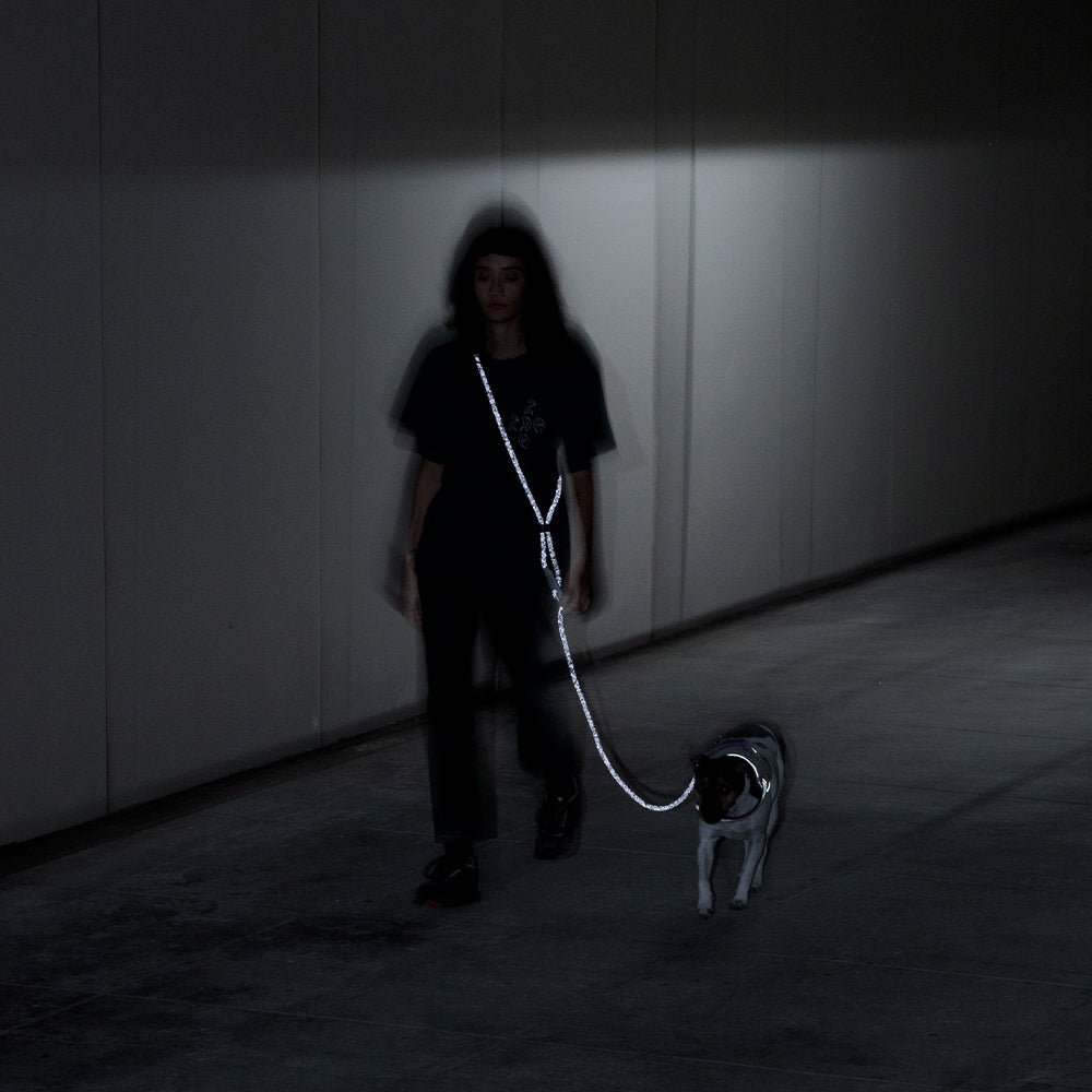 Nox Hands Free Leash - with Reflective Details