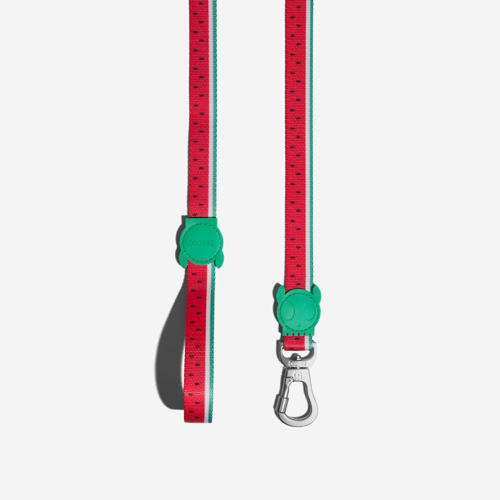 Lola Leash