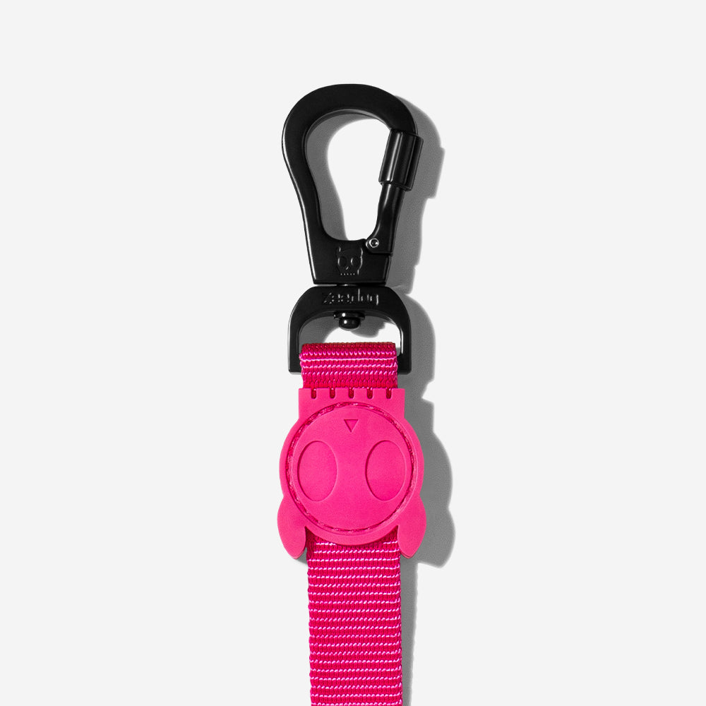 Pink Led Leash
