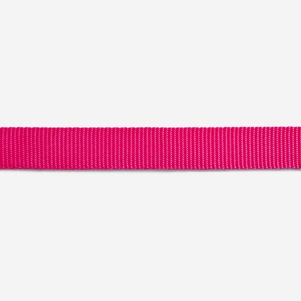 Pink Led Leash