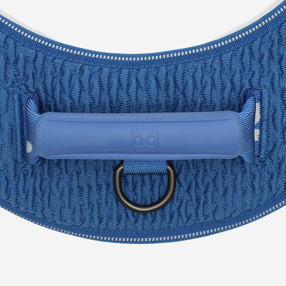 Harness with handle - Flyharness Slam Dunk