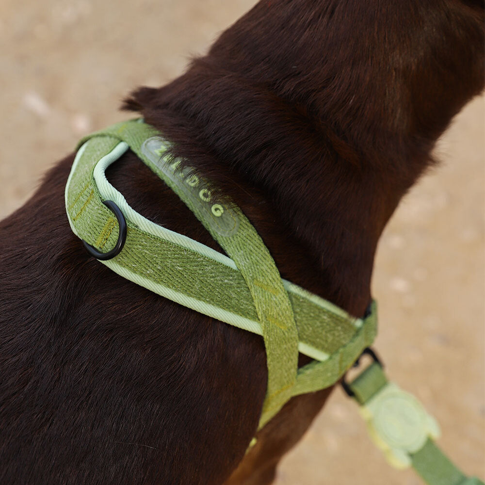 Norwegian Softer-walk Harness Moss