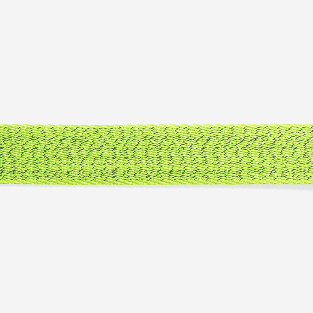 Nox Lumen Cat Collar