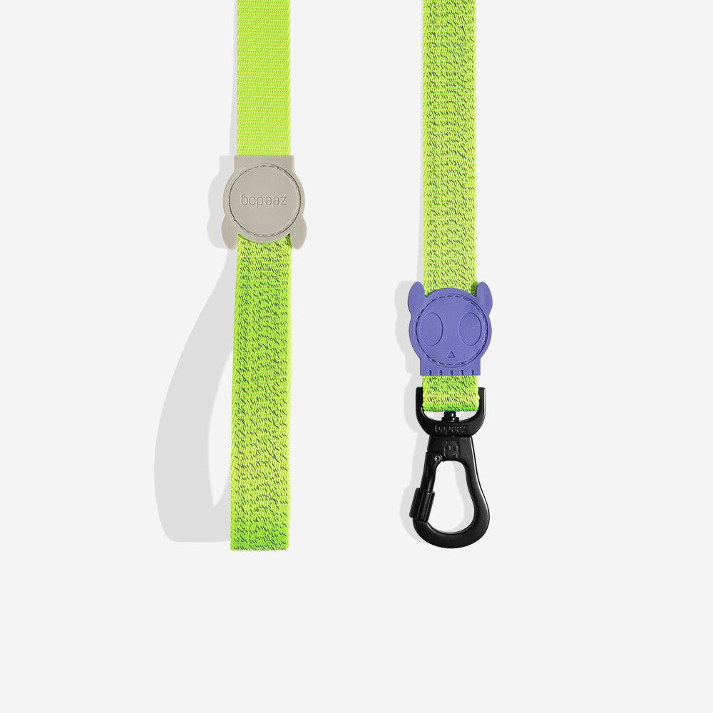 Nox Lumen Leash - with reflective details