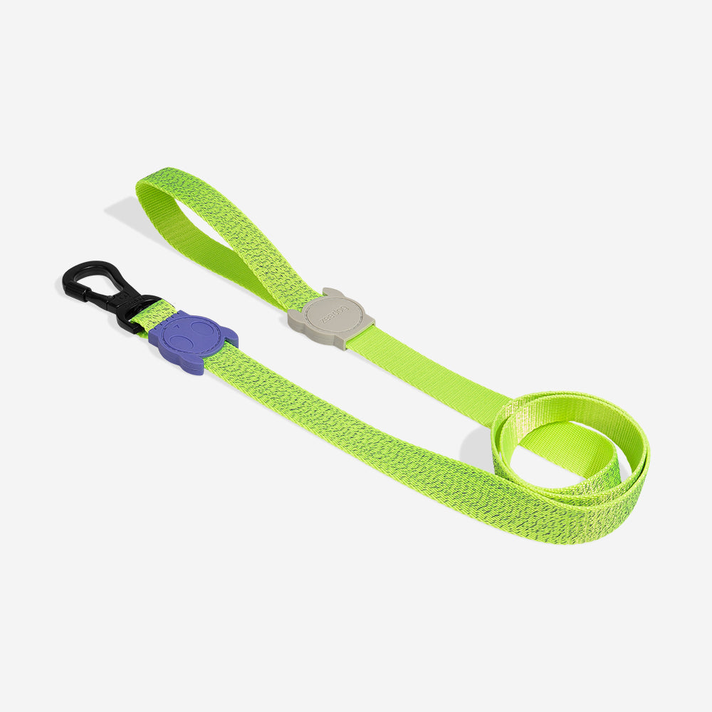 Nox Lumen Leash - with reflective details
