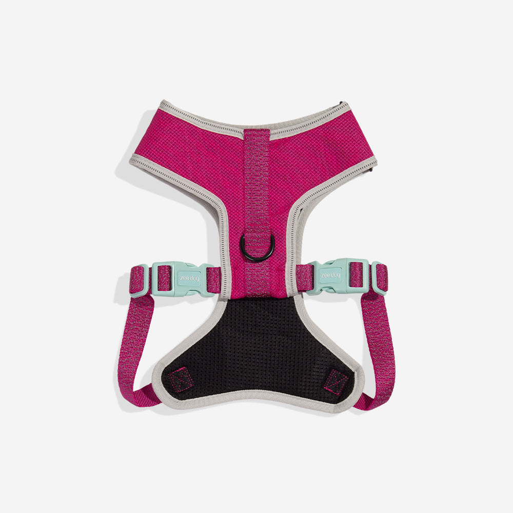 Nox Sidus Adjustable Mesh Harness