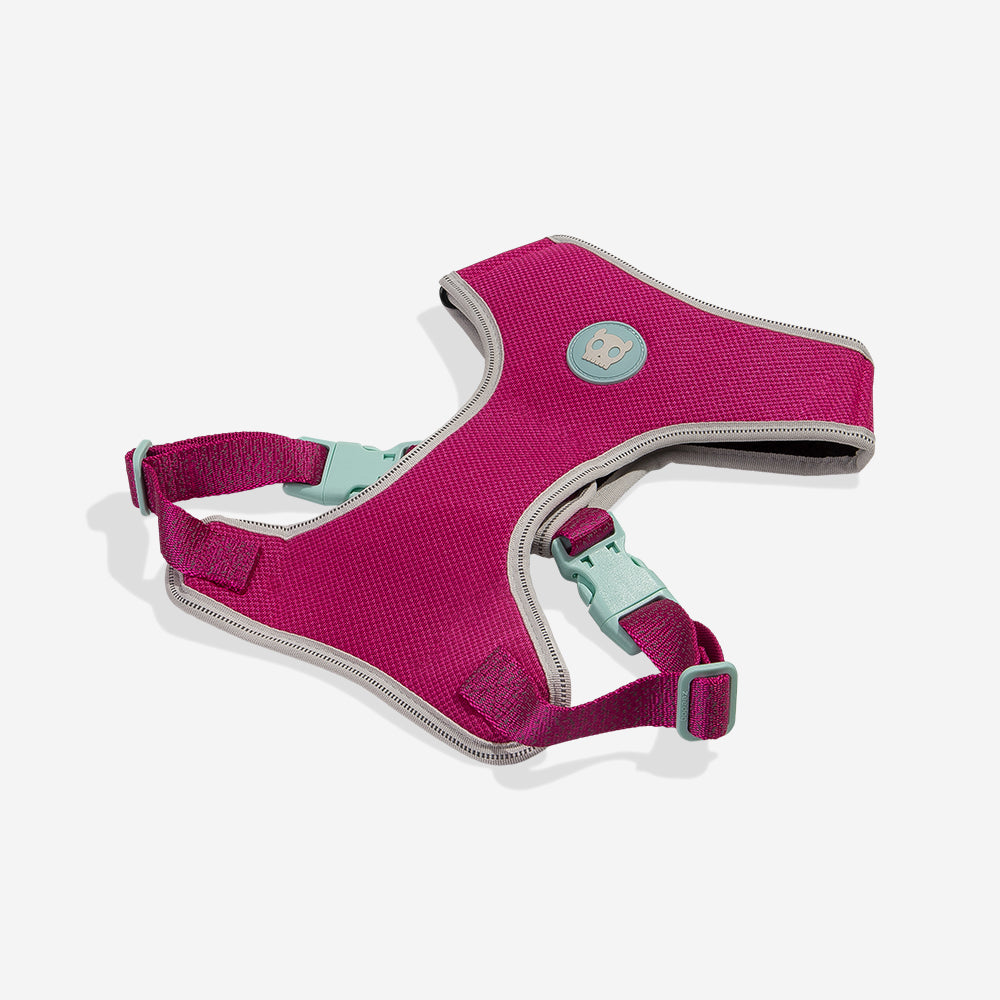 Nox Sidus Adjustable Mesh Harness