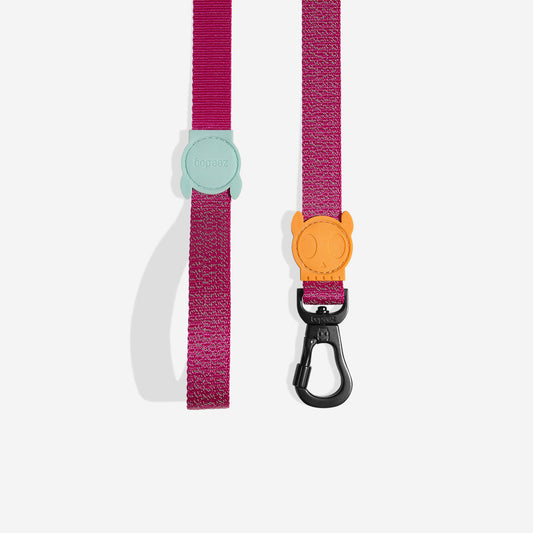 Nox Sidus Leash - with reflective details