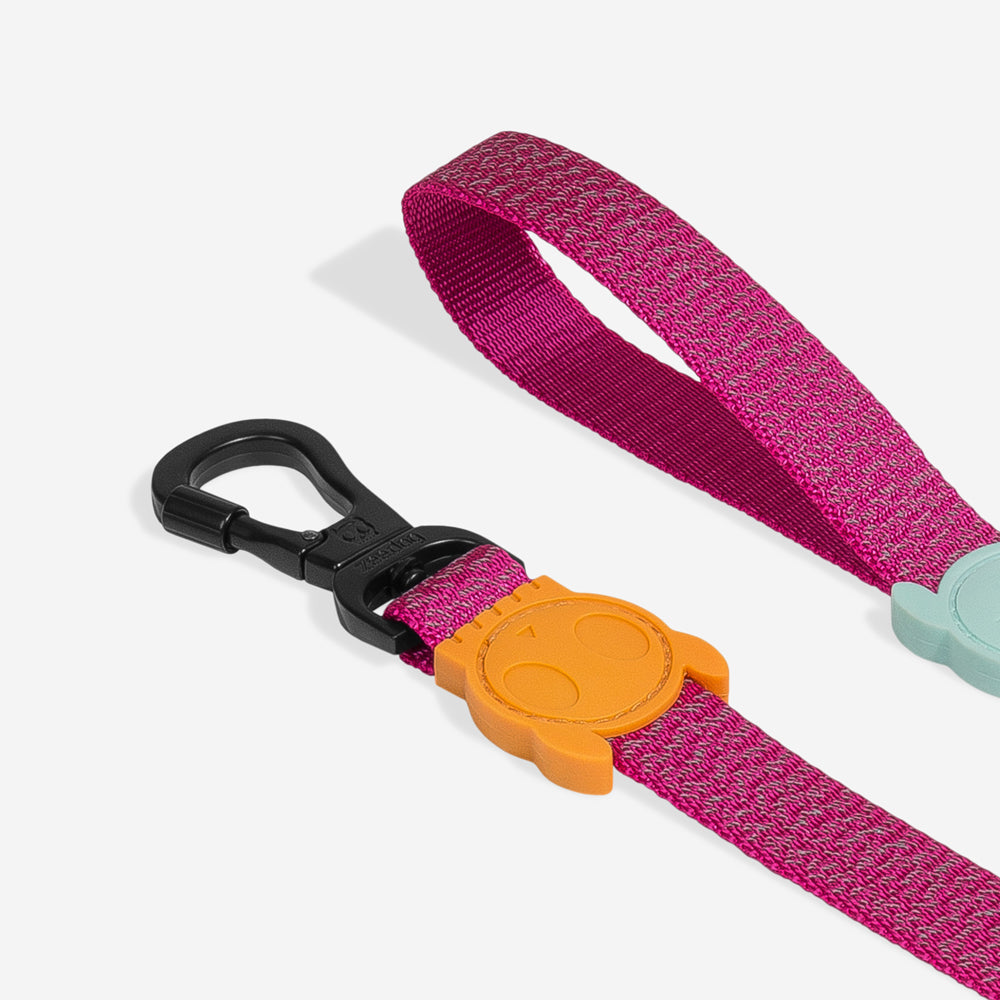 Nox Sidus Leash - with reflective details