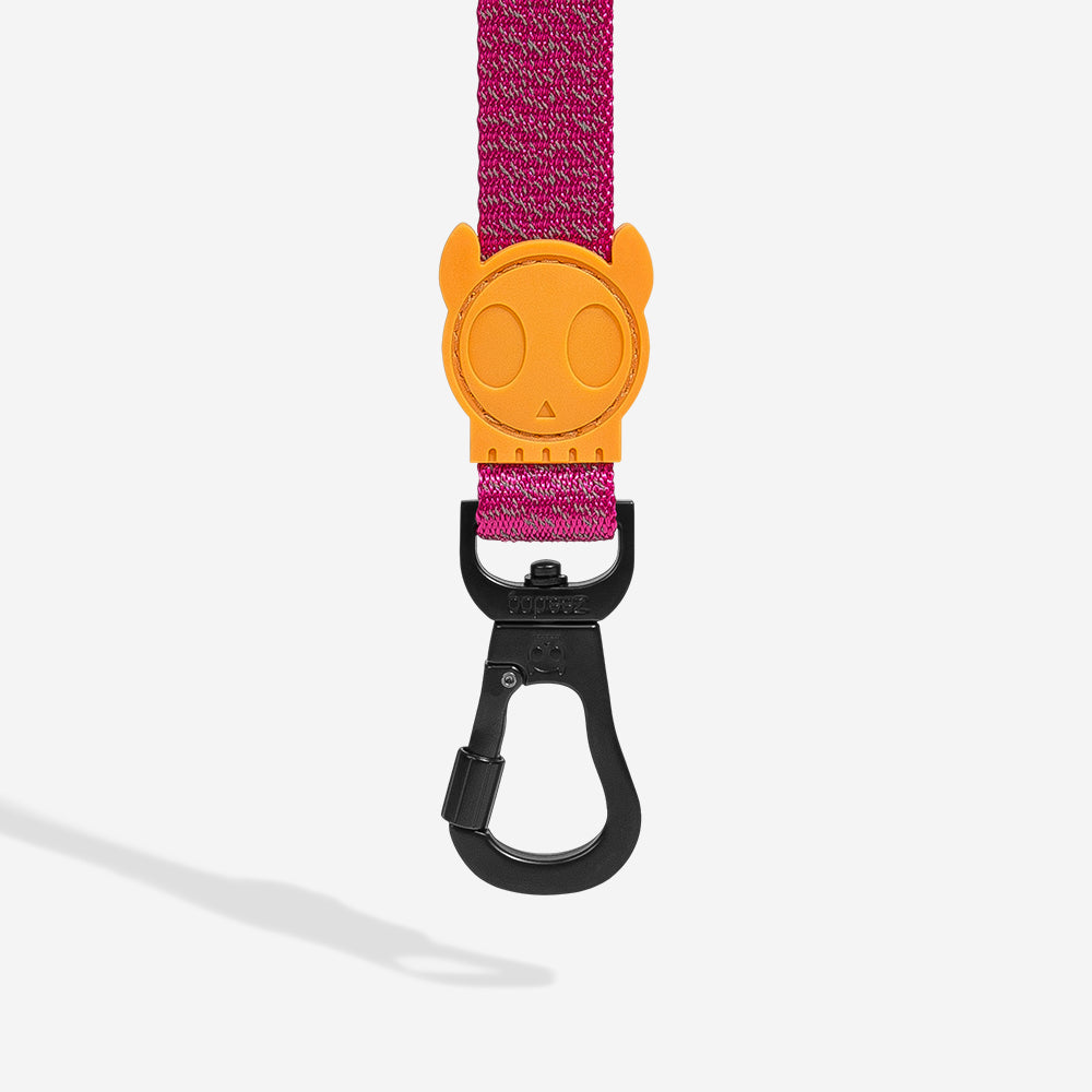 Nox Sidus Leash - with reflective details