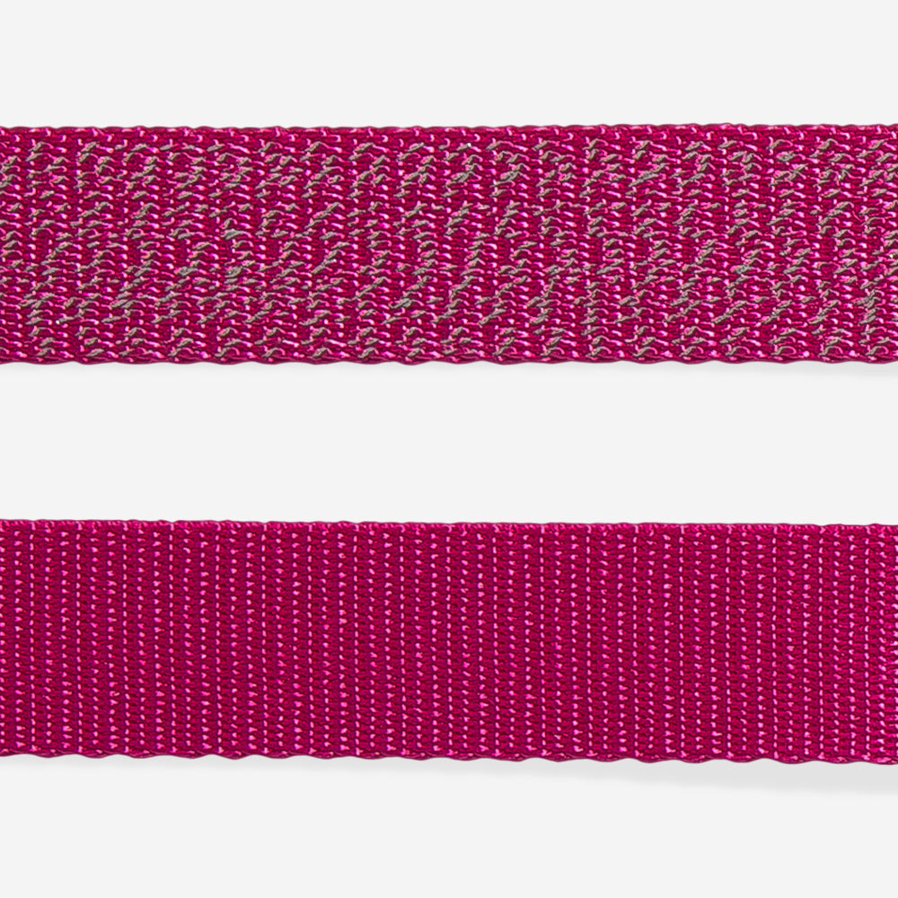 Nox Sidus Leash - with reflective details