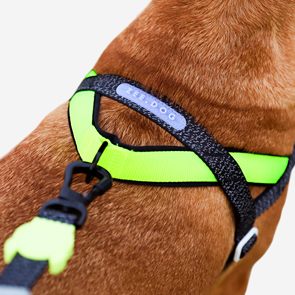Norwegian Softer-walk Harness Nox - with reflective details