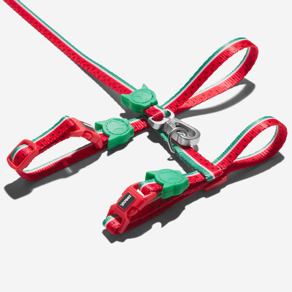 Lola Cat Harness and Leash Set