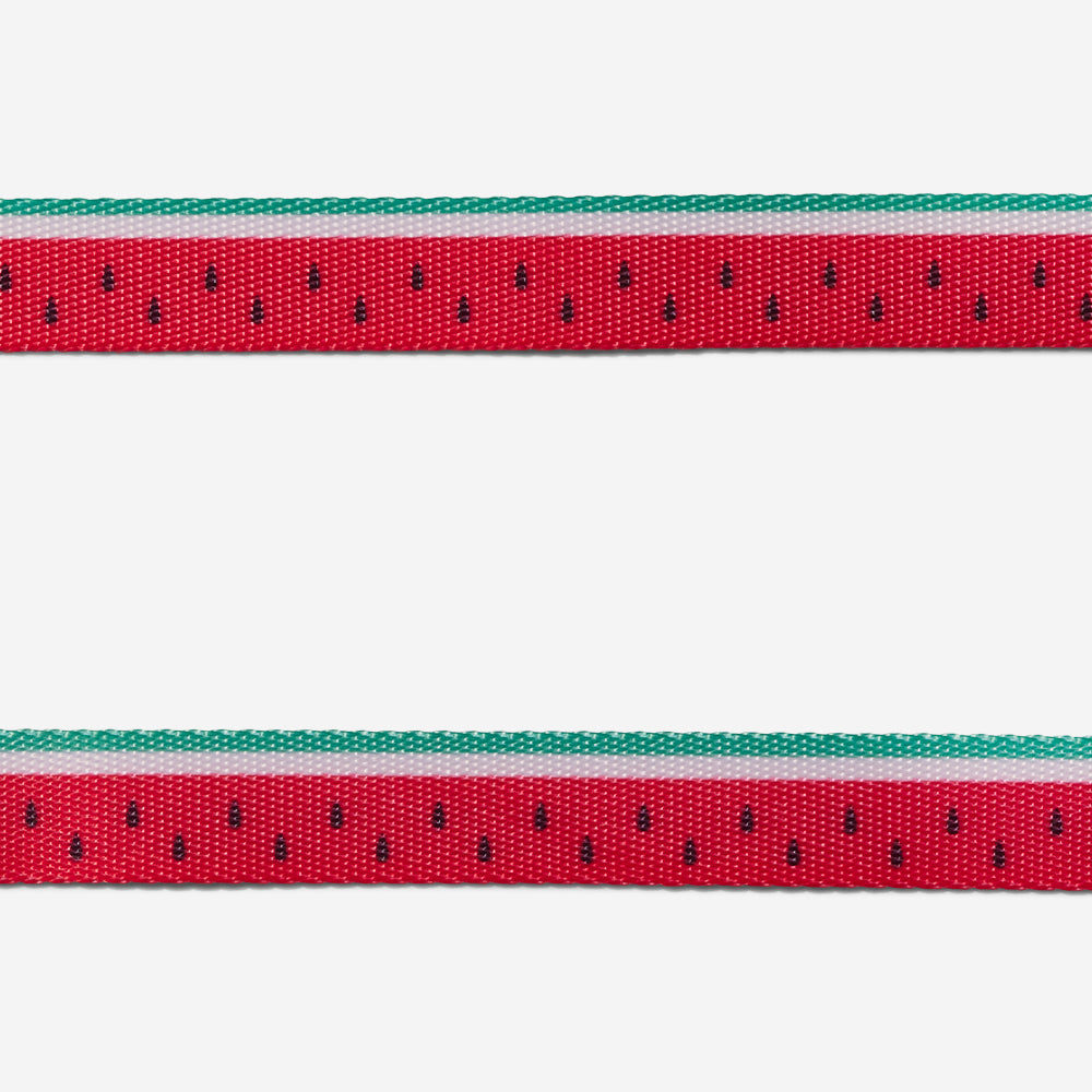 Lola Cat Harness and Leash Set