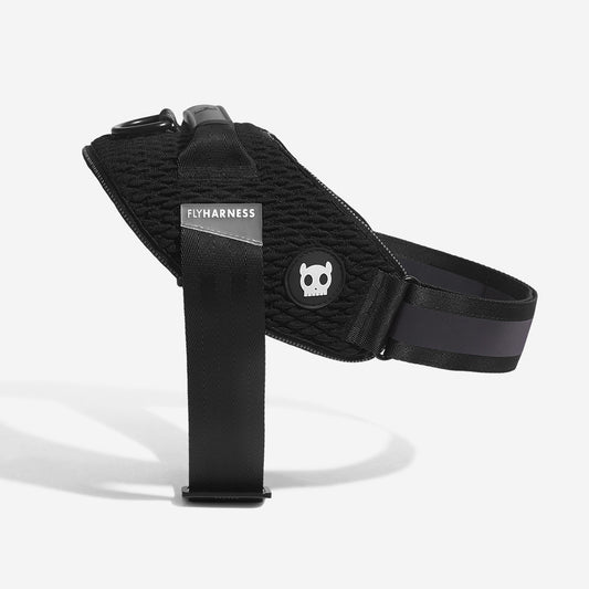 Harness with handle - Flyharness Gotham