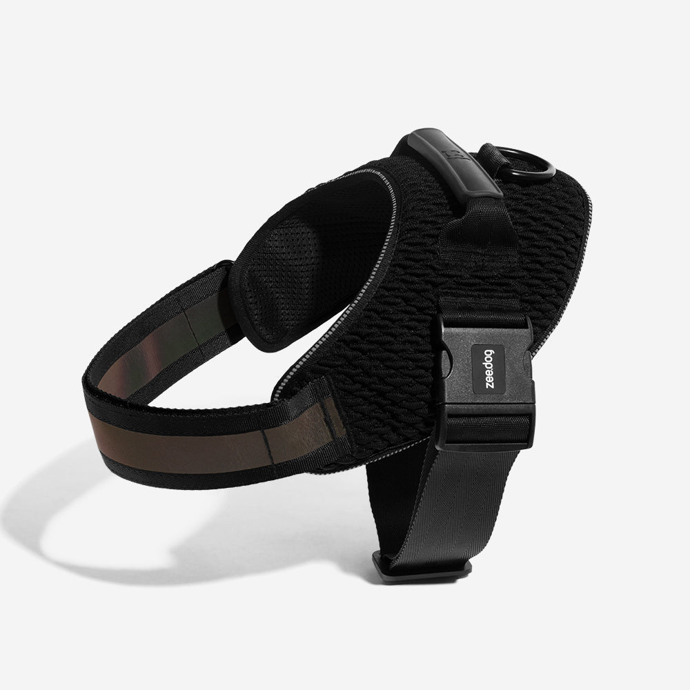 Harness with handle - Flyharness Gotham