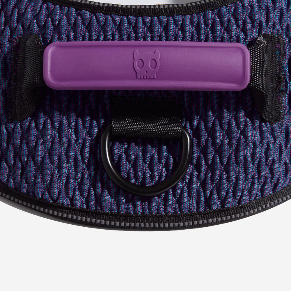 Harness with Handle - Flyharness Wicked