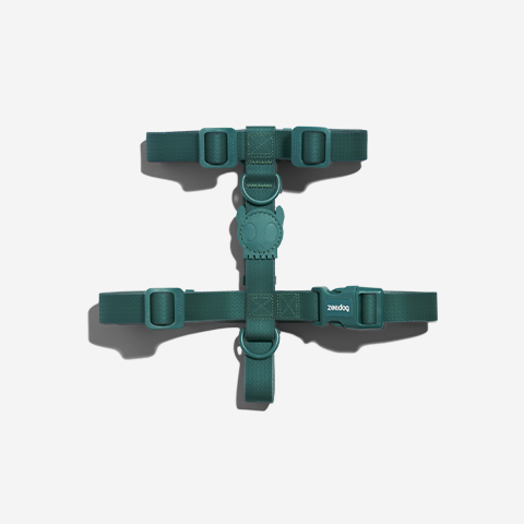 NeoPro Amazonia H-Harness